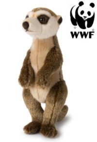 Surikat - WWF (Världsnaturfonden)
