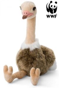 Struts  - WWF (Världsnaturfonden)