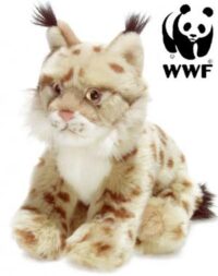 Lodjur - WWF (Världsnaturfonden)