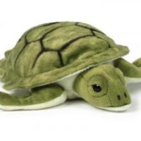 Sköldpadda - WWF (Världsnaturfonden)